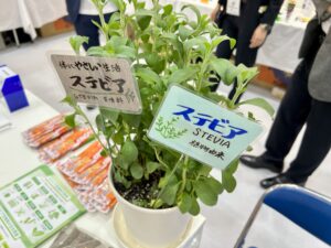 【徹底解説】ステビア抽出物の特徴について。安全性評価基準を満たす日本規格や食品への活用事例をご紹介 | 甘味料開発・選定ナビ