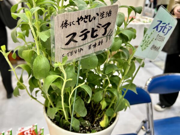 【徹底解説】ステビア抽出物の特徴について。安全性評価基準を満たす日本規格や食品への活用事例をご紹介 | 甘味料開発・選定ナビ 【徹底解説】ステビア抽出物の特徴について。安全性評価基準を満たす日本規格や食品への活用事例をご紹介 | 甘味料開発・選定ナビ