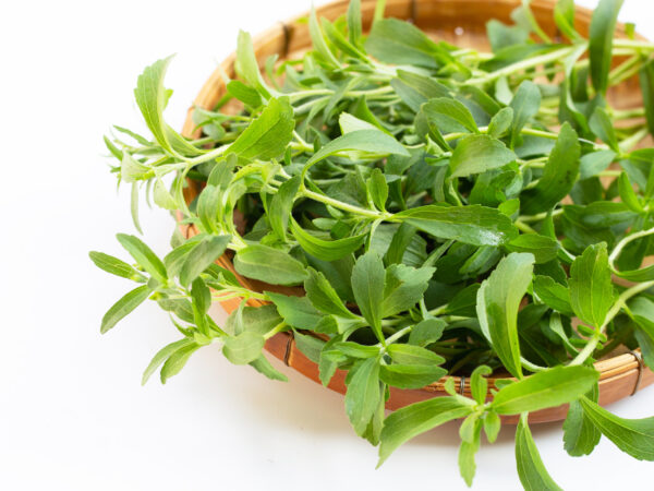 ステビアは甘い？苦い？後味が残る？植物由来の甘味料「ステビア」の味と特性を徹底解説！ | 甘味料開発・選定ナビ