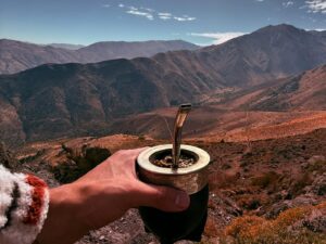 ステビアのカロリーやGI値は？天然由来の「高甘味度甘味料」のメリットと活用法 | 甘味料開発・選定ナビ